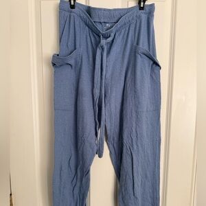 Aerie Light Blue Relaxed Pants
